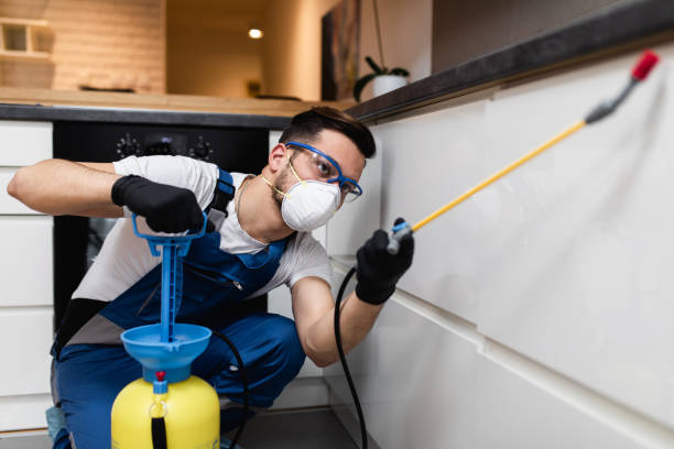 Best Exterminator Services  in Mondovi, WI
