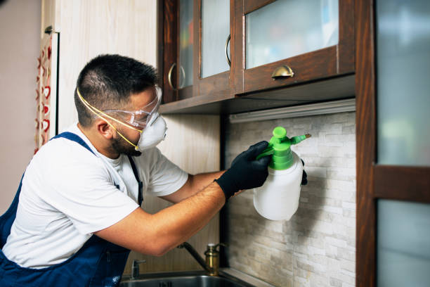 Best Bed Bug Extermination  in Mondovi, WI
