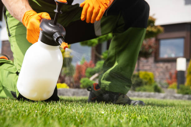 Best Flea Control Services  in Mondovi, WI