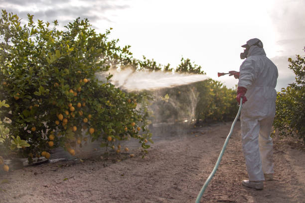 Best Pest Removal Services  in Mondovi, WI