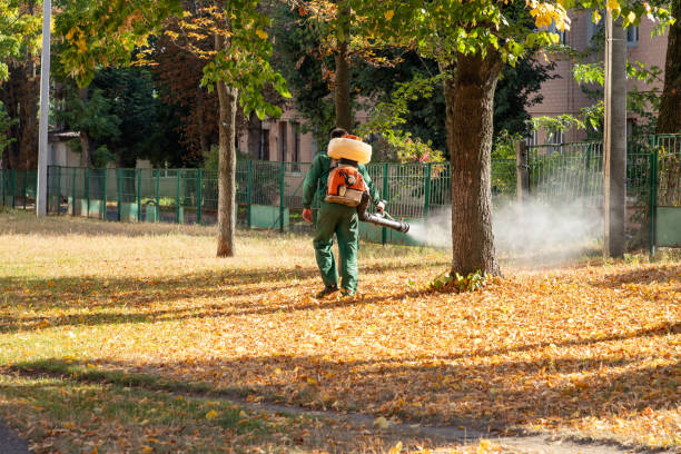 Best Mosquito Control Services  in Mondovi, WI