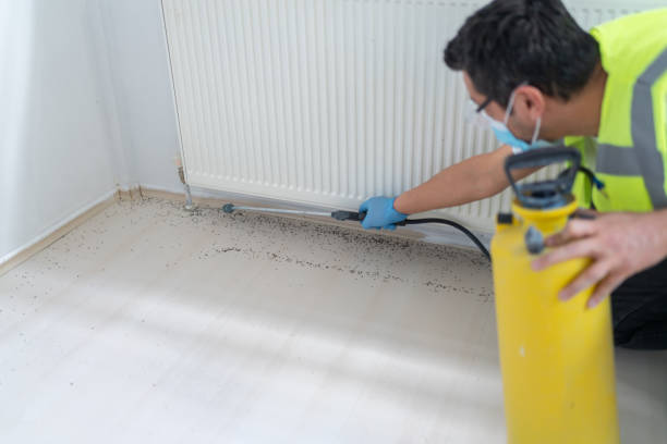 Best Ant Control Services  in Mondovi, WI