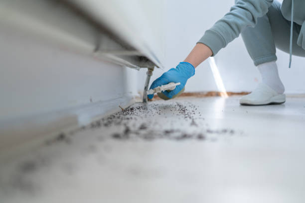 Best Pest Control Near Me in Mondovi, WI