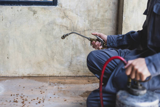 Best Best Pest Control Companies  in Mondovi, WI